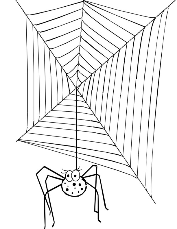 Silly, Sneaky Spider