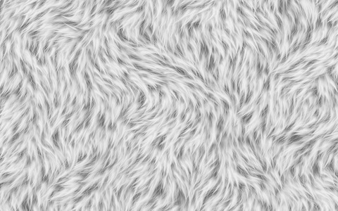 Fuzz Frenzy